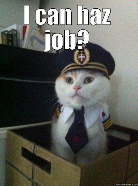 WCW cafr - I CAN HAZ JOB?  Captain kitteh