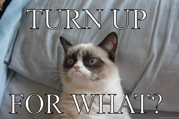 TURN UP FOR WHAT? Grumpy Cat