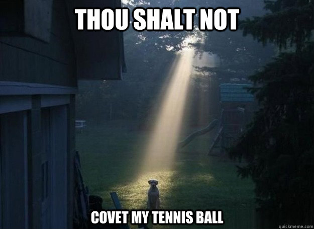 Thou Shalt not  covet my tennis ball   