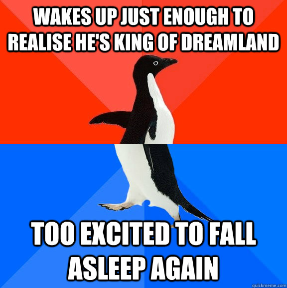 Wakes up just enough to realise he's king of dreamland too excited to fall asleep again  Socially Awesome Awkward Penguin