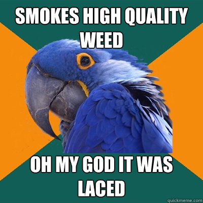 smokes high quality weed oh my god it was laced  Paranoid Parrot