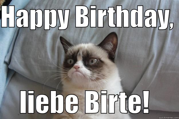HAPPY BIRTHDAY,  LIEBE BIRTE!  Grumpy Cat