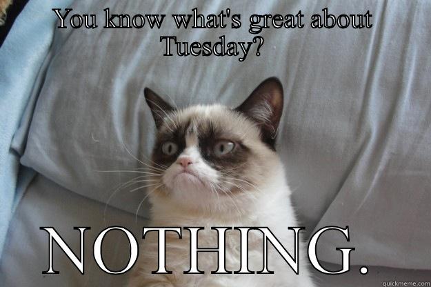 YOU KNOW WHAT'S GREAT ABOUT TUESDAY? NOTHING. Grumpy Cat