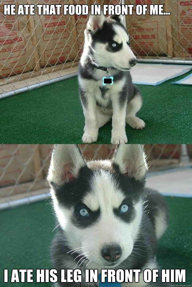He ate that food in front of me... I ate his leg in front of him  Insanity puppy