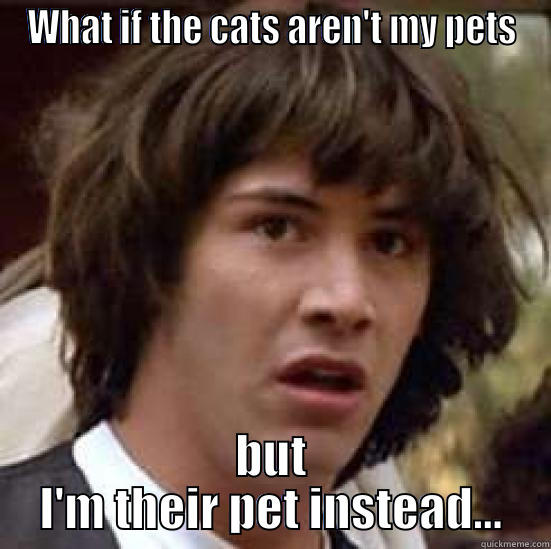 WHAT IF THE CATS AREN'T MY PETS BUT I'M THEIR PET INSTEAD... conspiracy keanu