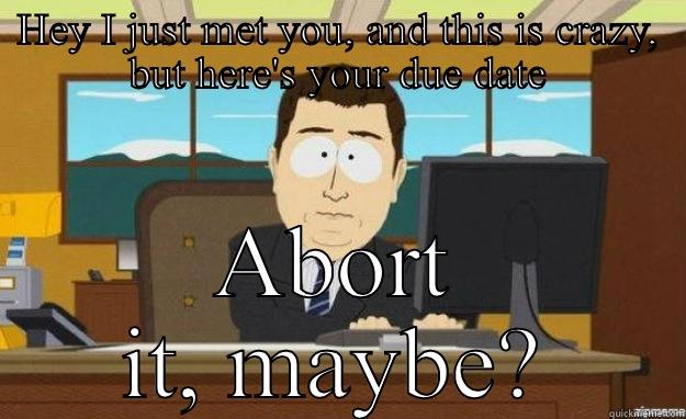 HEY I JUST MET YOU, AND THIS IS CRAZY, BUT HERE'S YOUR DUE DATE ABORT IT, MAYBE? aaaand its gone