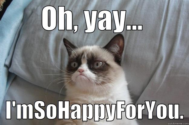 Fake Yay - OH, YAY...   I'MSOHAPPYFORYOU. Grumpy Cat