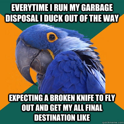 everytime i run my garbage disposal i duck out of the way expecting a broken knife to fly out and get my all final destination like  Paranoid Parrot
