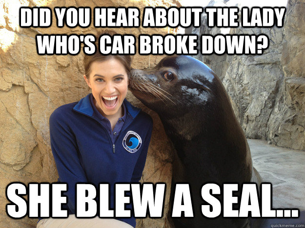 Did you hear about the lady who's car broke down? She blew a seal... - Did you hear about the lady who's car broke down? She blew a seal...  Crazy Secret