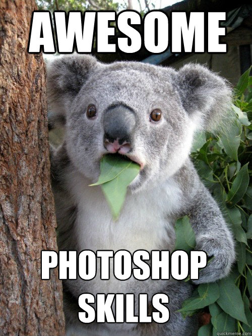 Awesome
 PHOTOSHOP
SKILLS  koala bear