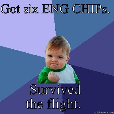 GOT SIX ENG CHIPS.  SURVIVED THE FLIGHT.  Success Kid