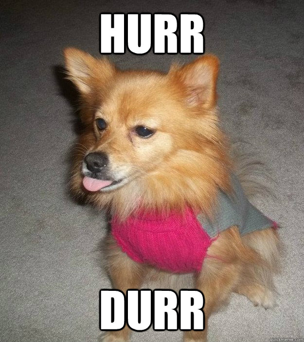 Hurr Durr - Hurr Durr  Derp Dog