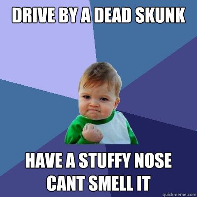DRIVE BY A DEAD SKUNK HAVE A STUFFY NOSE
CANT SMELL IT  Success Kid