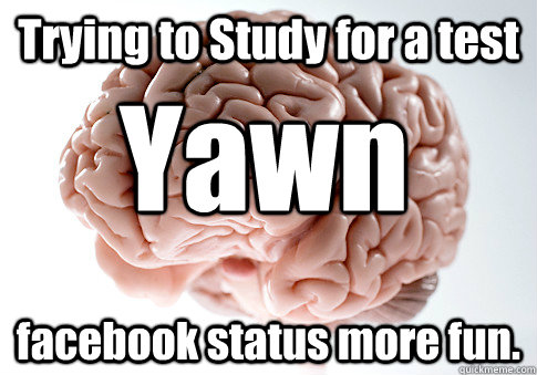 Trying to Study for a test facebook status more fun. Yawn  Scumbag Brain