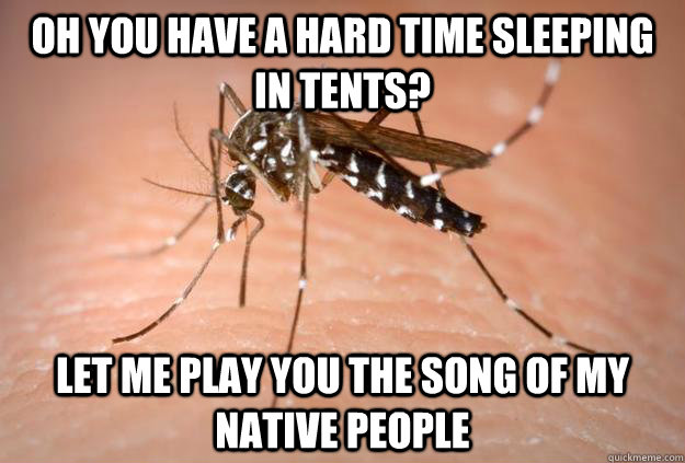 oh you have a hard time sleeping in tents? let me play you the song of my native people - oh you have a hard time sleeping in tents? let me play you the song of my native people  Scumbag Mosquito