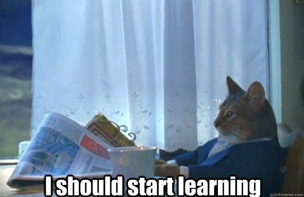 I should start learning  Sophisticated Cat