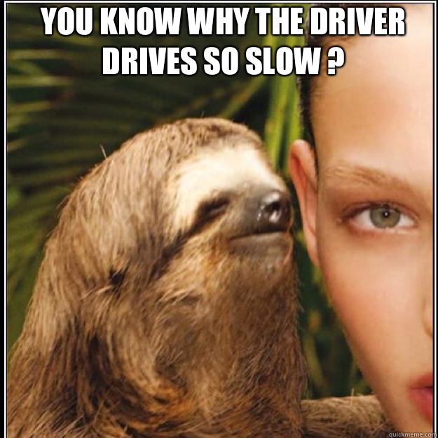 You know why the driver drives so slow ?   rape sloth