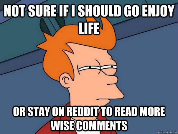 Not sure if i should go enjoy life or stay on reddit to read more wise comments  Futurama Fry