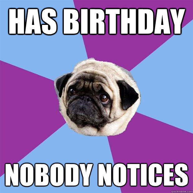 has birthday nobody notices  Lonely Pug