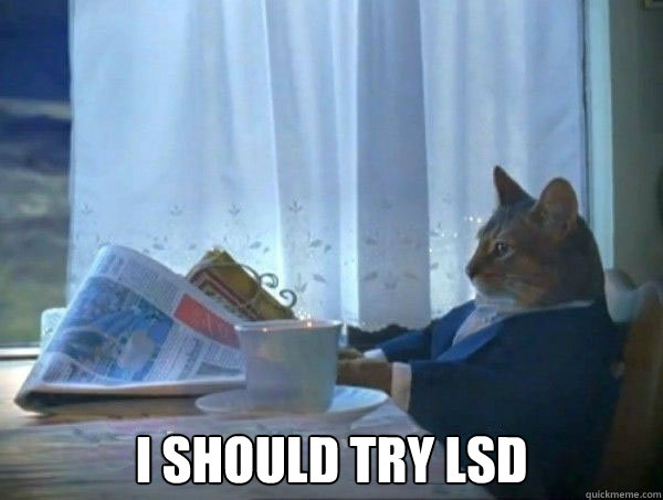  I should try LSD  morning realization newspaper cat meme