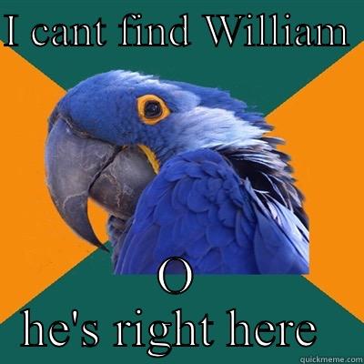 Where's William  - I CANT FIND WILLIAM  O HE'S RIGHT HERE  Paranoid Parrot