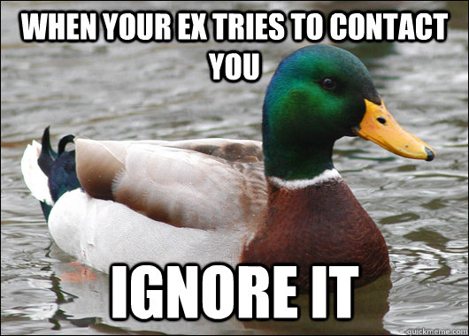 when your ex tries to contact you ignore it  Actual Advice Mallard