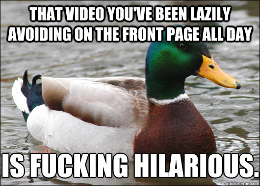 That video you've been lazily avoiding on the front page all day is fucking hilarious. 
  Actual Advice Mallard
