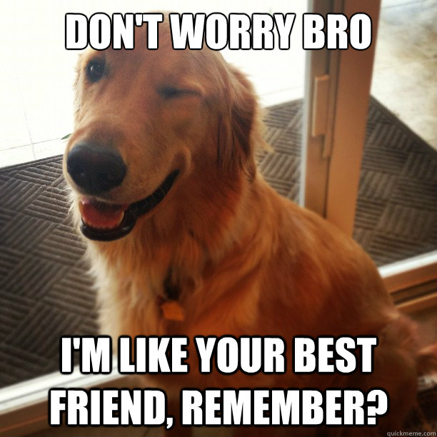 Don't worry bro I'm like your best friend, remember? - Don't worry bro I'm like your best friend, remember?  Misc