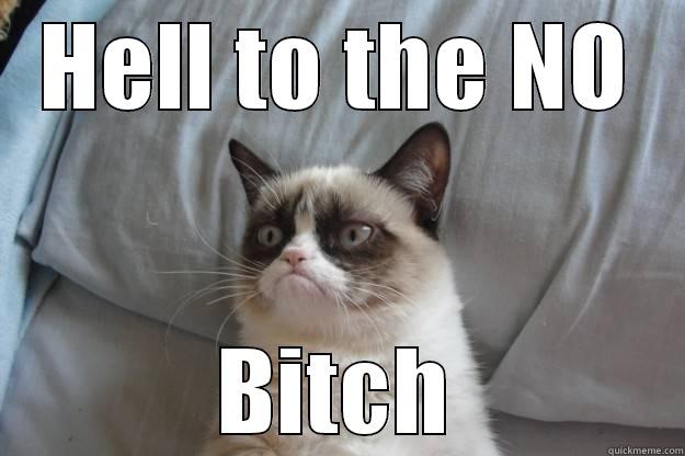 no bitch - HELL TO THE NO BITCH Grumpy Cat