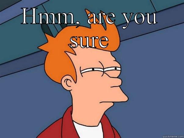 HMM, ARE YOU SURE  Futurama Fry