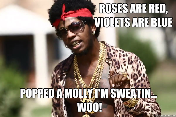 Roses are Red, 
Violets are Blue Popped a Molly I'm sweatin...
 WOO! - Roses are Red, 
Violets are Blue Popped a Molly I'm sweatin...
 WOO!  Valentines Day Trinidad James