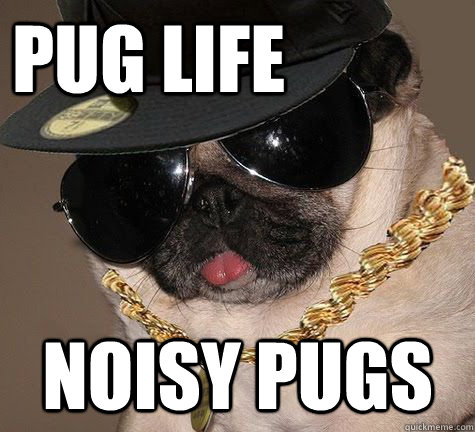 Pug Life Noisy Pugs - Pug Life Noisy Pugs  Gangster Pug