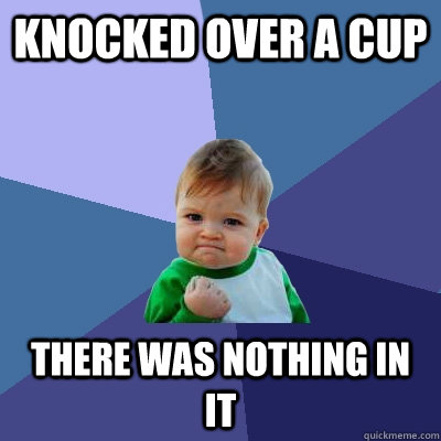 knocked over a cup there was nothing in it  Success Kid