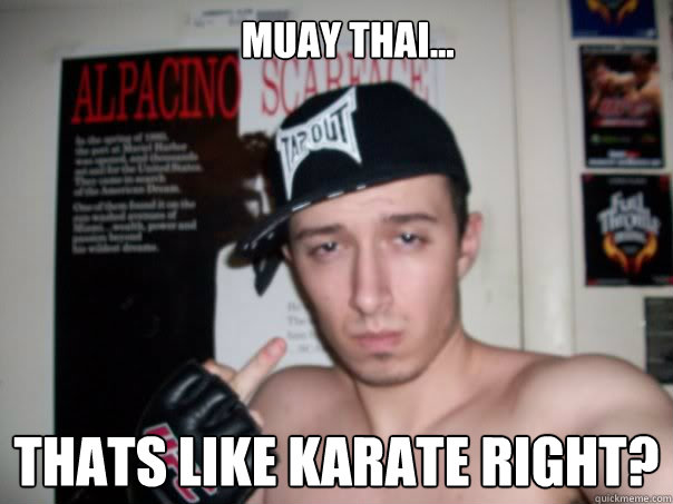 Muay thai... Thats like karate right?  MMA Poser Phil