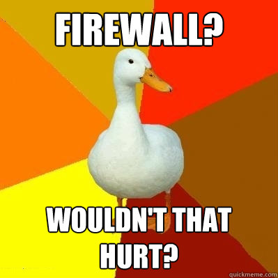 Firewall? Wouldn't that hurt?  Tech Impaired Duck