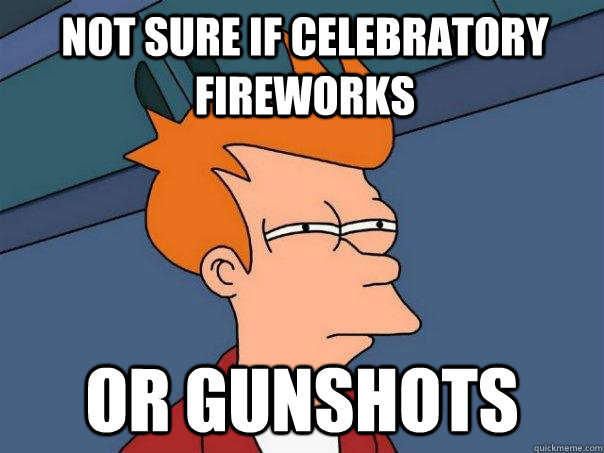Not sure if celebratory fireworks Or gunshots   Futurama Fry