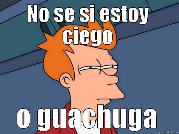 NO SE SI ESTOY CIEGO O GUACHUGA Futurama Fry