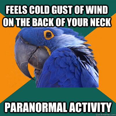 feels cold gust of wind on the back of your neck paranormal activity  Paranoid Parrot