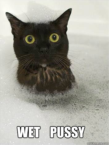 WET pussy  