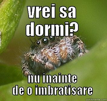 VREI SA DORMI? NU INAINTE DE O IMBRATISARE Misunderstood Spider