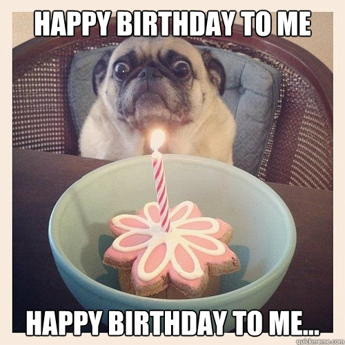 happy birthday to me happy birthday to me...  Scared birthday pug