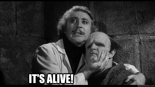 It's Alive! - It's Alive!  Young Frankenstein