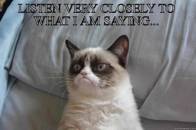 LISTEN VERY CLOSELY TO WHAT I AM SAYING...  Grumpy Cat