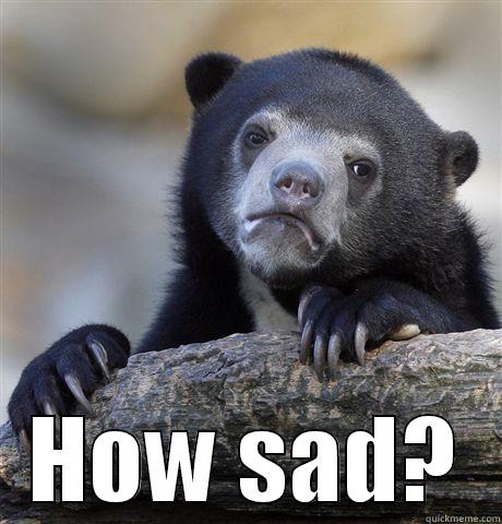  HOW SAD? Confession Bear