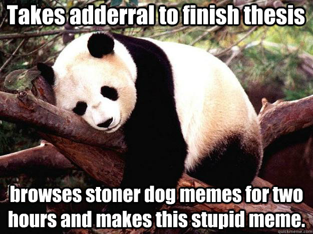Takes adderral to finish thesis browses stoner dog memes for two hours and makes this stupid meme.  Procrastination Panda