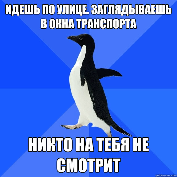 Идешь по улице. Заглядываешь в окна трансп  Socially Awkward Penguin