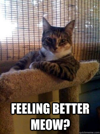  feeling better meow?  The Most Interesting Cat in the World