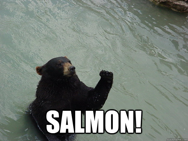  Salmon!  Vengeful Bear