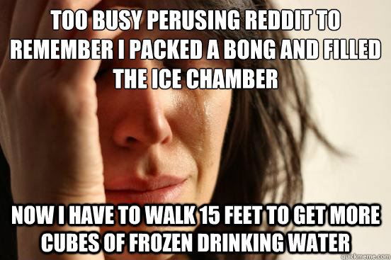 Too busy perusing reddit to remember I packed a bong and filled the ice chamber now i have to walk 15 feet to get more cubes of frozen drinking water  First World Problems