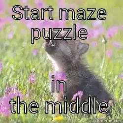START MAZE PUZZLE IN THE MIDDLE Misc